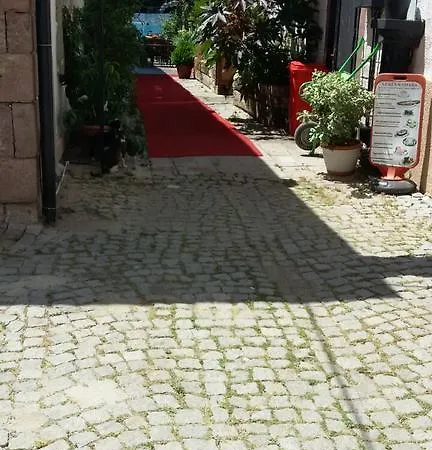بيت شباب Miho Ayvalı