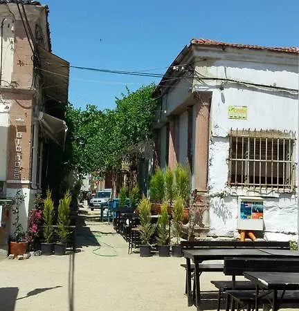 Miho Ayvalı